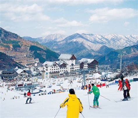 Yangji Pine Ski Resort 양지파인리조트 - Trazy, Korea