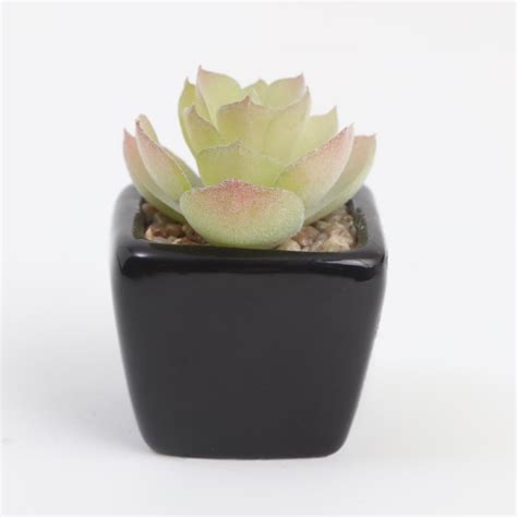 Buy Garnet Gardenia Artificial Blush Succulent in Pot from Home Centre ...