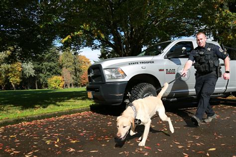 Anti-Poaching News and Resources - Protect Oregon's Wildlife