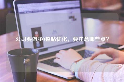 整站优化_整站SEO推广_专业SEO网站优化公司