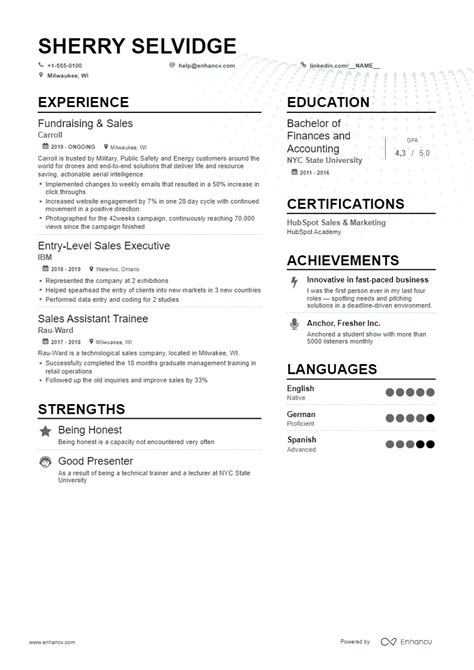 Image result for Job CV Examples