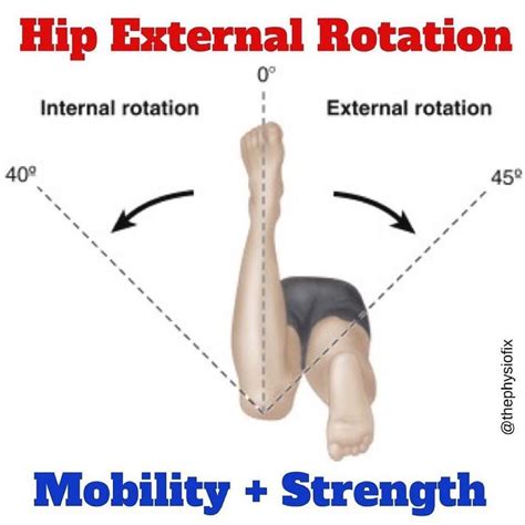 Internal And External Rotation Of The Hip