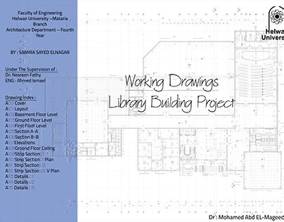 Working Model Projects 的图像结果