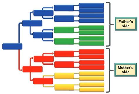 Image result for Color Code AncestryDNA