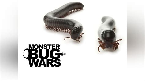 Watch Monster Bug Season 1 | Prime Video