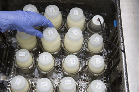 What We Do – Centre for Health Research and Innovation