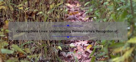 Image result for Crossing State Line