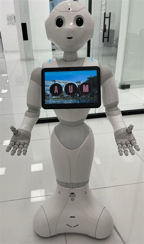 Pepper Nao Robots 的图像结果