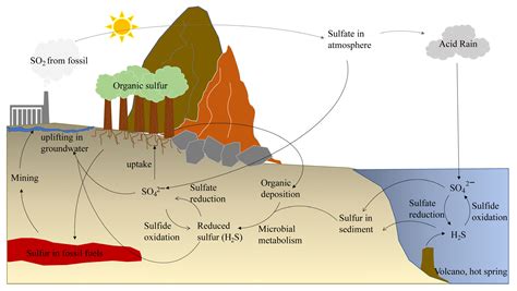 Sulphur Cycle Animation