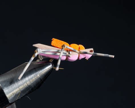 Image result for Morrish Hopper Fly Pattern