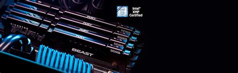 Amazon.in: Buy Kingston Fury Beast 16GB 5600MT/s DDR5 CL36 DIMM Desktop ...