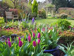 Image result for Good Morning Spring Flowers Gardens