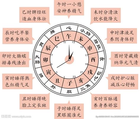 [转]12时辰养生法 （中医与人体日节律） – 【人人分享-人人网】