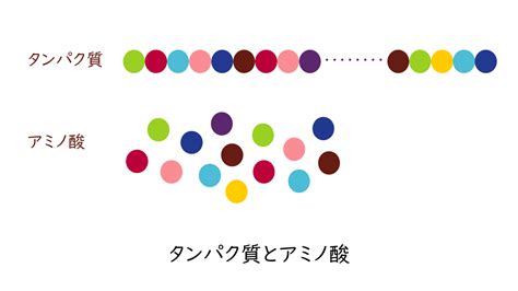 Image result for Nearest Neighbours Algorithm Graph Examples