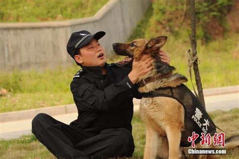 襄阳23岁带犬女特警：我最大的梦想就是能够训导出一条功勋犬，让它们代替我破案、追凶、缉毒……