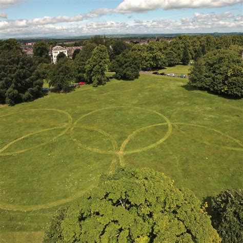 THE STRAY (2025) All You Need to Know BEFORE You Go (with Photos ...