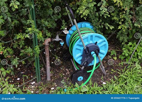Garden hose reel trolley stock photo. Image of gardening - 255627776