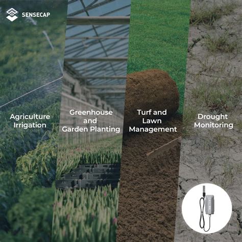 Buy Seeed Studio SenseCAP S2104 - LoRaWAN Wireless Soil Moisture and ...