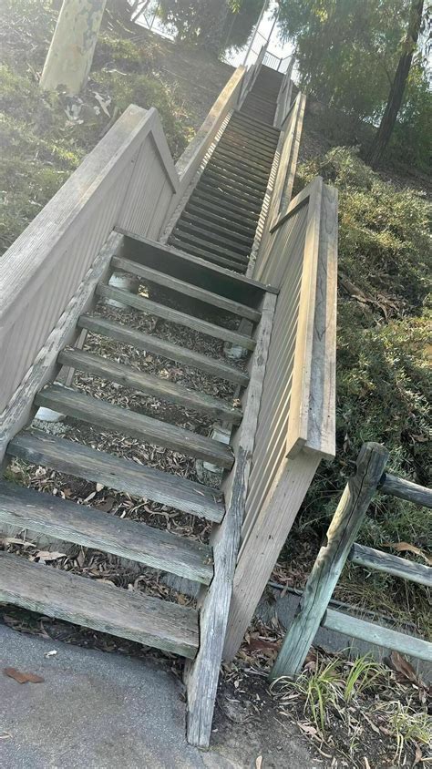 Mission Viejo's Oso Creek Trail - California | AllTrails