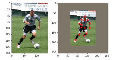 Image result for Bitmap versus Vector