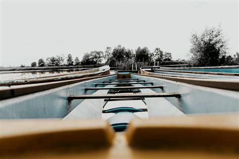 Image result for Same Picture Different Perspective