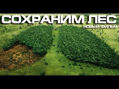 СОХРАНИМ ЛЕС новый фильм 2018 ВЫРУБКА РУССКИХ ЛЕСОВ китайцами ПРИРОДА ...
