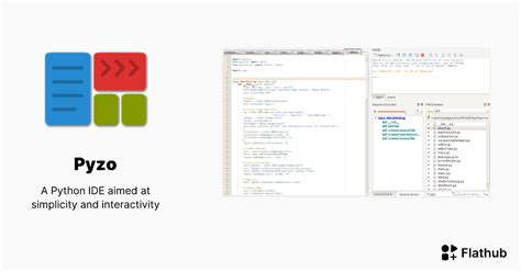Image result for Pyzo in Linux