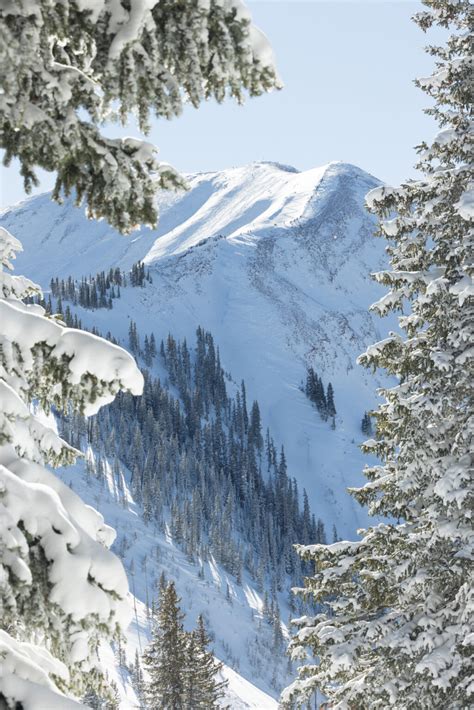 Careers: Benefits & Perks | Aspen One