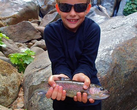 YOSEMITE FLY FISHING GUIDE - All You Need to Know BEFORE You Go 2026 ...