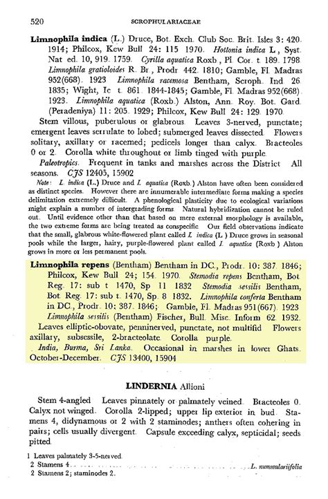 Herbarium JCB