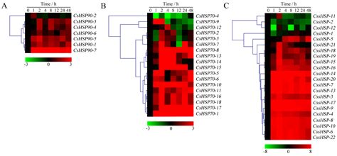 Genome-Wide Identification, Classification and Expression Analysis of ...