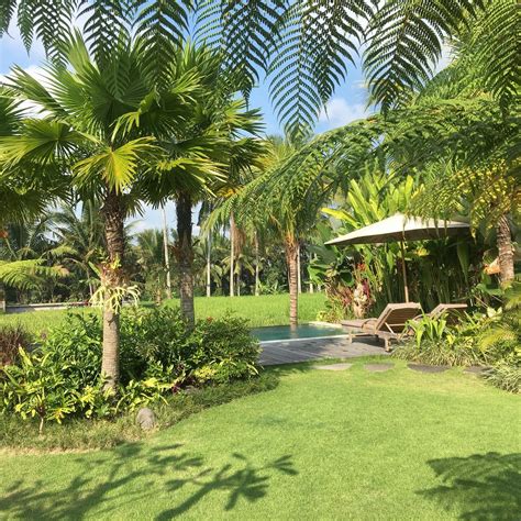 THE SURIS UBUD (Bali) - Guesthouse Reviews & Photos - Tripadvisor