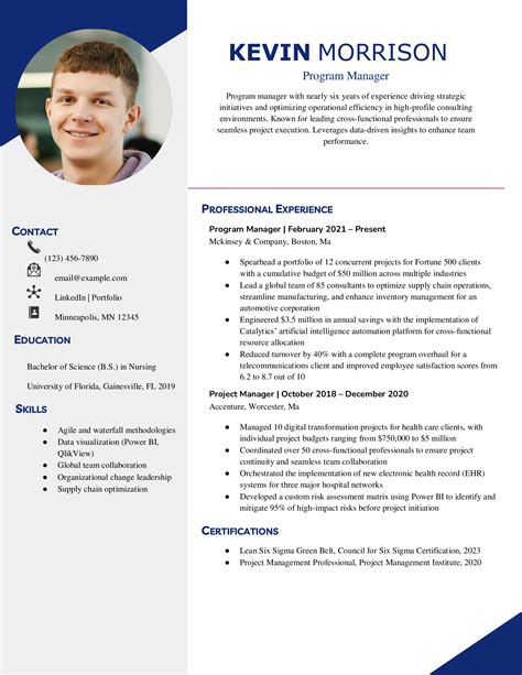 Image result for Program Manager Resume Examples