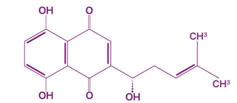 Image result for Key Events Example