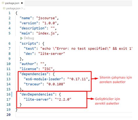 Image result for Basic JavaScript Install
