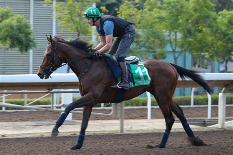 LONGINES Hong Kong International Races Saturday Trackwork Photo Release ...