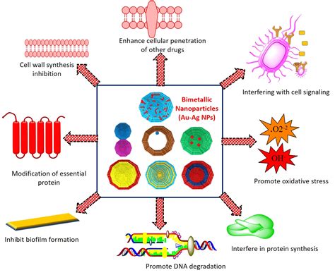 Bimetallic Au–Ag Nanoparticles: Advanced Nanotechnology for Tackling ...