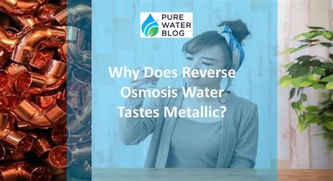 Why Does Water Taste Different Outside at Debra Masters blog