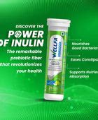 Buy Gut Strong Multi-Strain Probiotics + Prebiotic - 21 Tabs | Wellfa