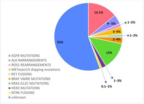 Egfr Mutations in Lung Cancer | Encyclopedia MDPI