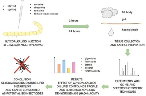 Solanaceae Glycoalkaloids Disturb Lipid Metabolism in the Tenebrio ...