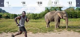 Echelon Fit versus iFit: A Comparison