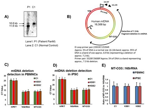 Generation and Evaluation of Isogenic iPSC as a Source of Cell ...