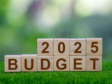 Union Budget 2025: Govt enhances credit guarantee thresholds for small ...