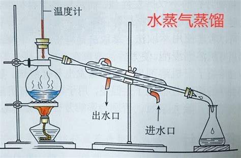 精油水蒸气蒸馏原理及蒸馏方式