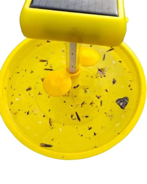 Wavar Mini Solar Insect Light Trap Buy Online Starting @₹1419/- | BigHaat