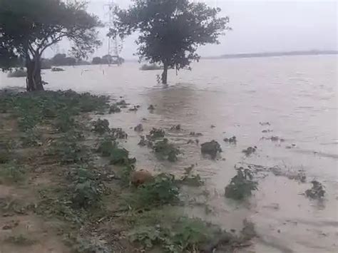 गाजीपुर में गंगा नदी का जलस्तर खतरे के निशान से ऊपर, प्रति घंटे 3-4 ...