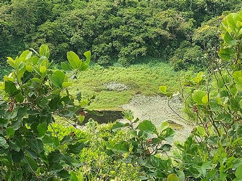 Tirthayatra Mauritius :: Album