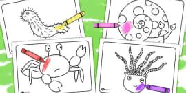 Image result for Sharing a Shell Plot