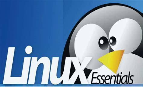 Image result for Linux Essentials